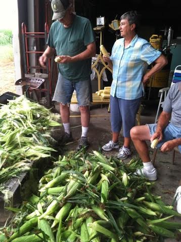 Family with large pile of sweet corn