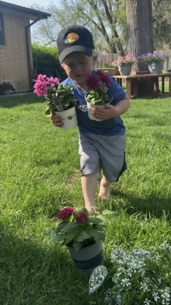 Little boy carrying potted garden plants