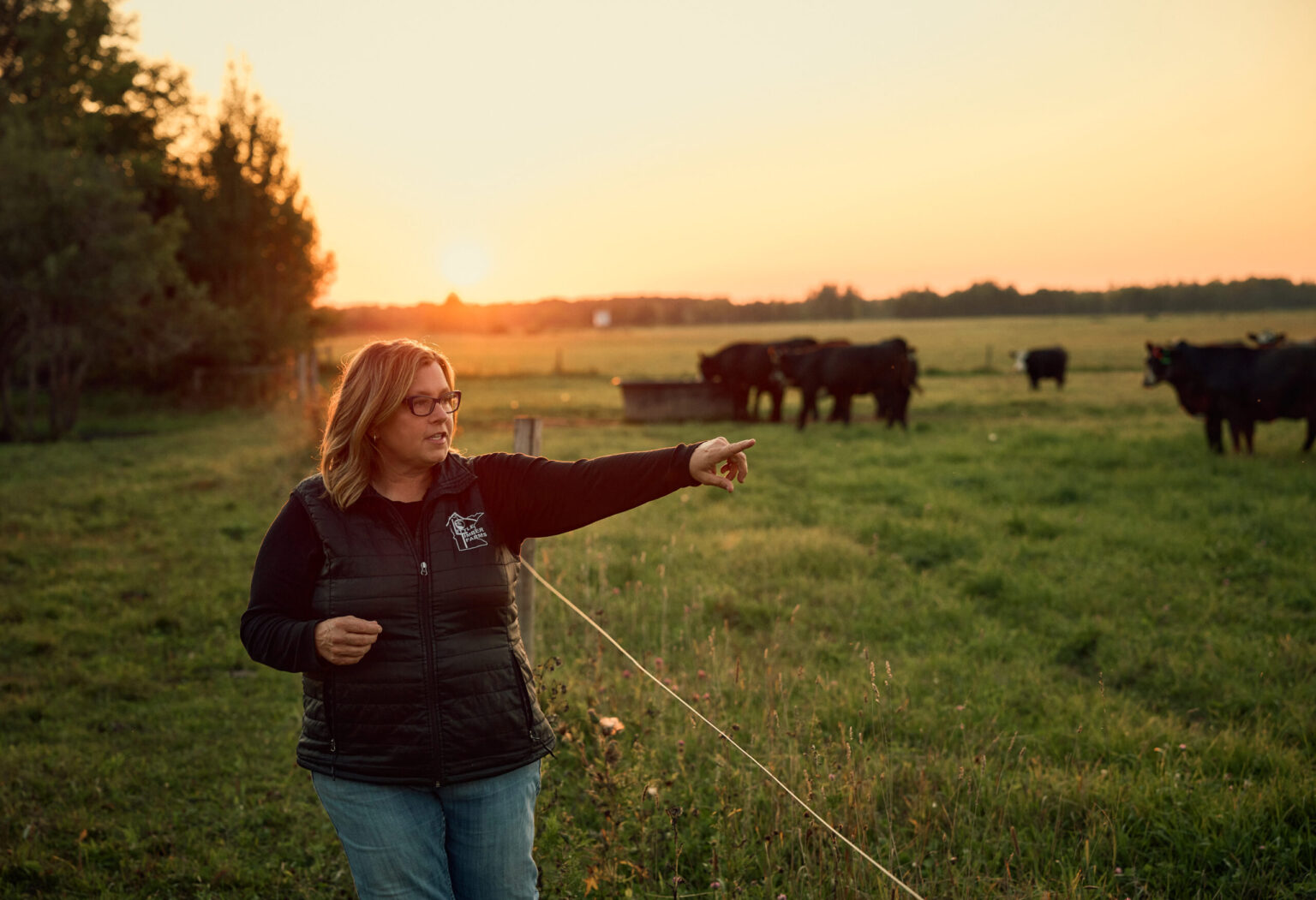 Rachel Gray protects her herd from cattle flies (specifically horn flies)